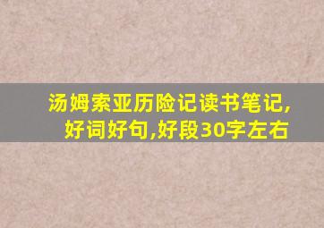 汤姆索亚历险记读书笔记,好词好句,好段30字左右