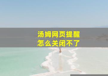 汤姆网页提醒怎么关闭不了