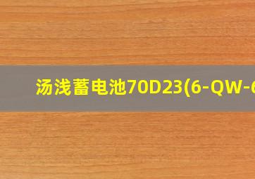 汤浅蓄电池70D23(6-QW-60)