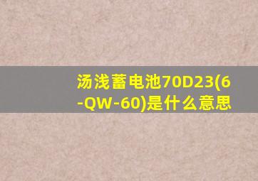 汤浅蓄电池70D23(6-QW-60)是什么意思