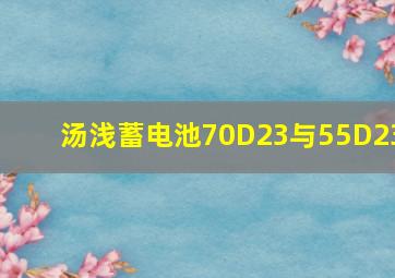 汤浅蓄电池70D23与55D23