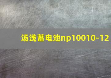 汤浅蓄电池np10010-12