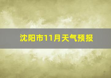 沈阳市11月天气预报