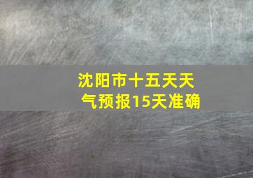 沈阳市十五天天气预报15天准确