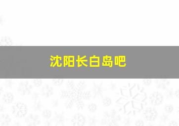 沈阳长白岛吧