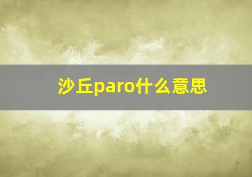 沙丘paro什么意思