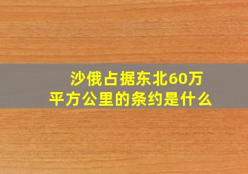 沙俄占据东北60万平方公里的条约是什么