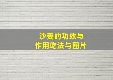 沙姜的功效与作用吃法与图片