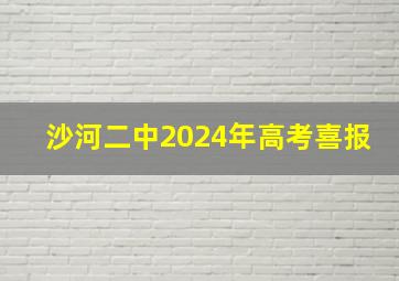 沙河二中2024年高考喜报