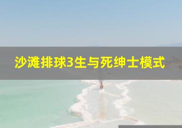 沙滩排球3生与死绅士模式