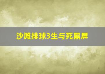 沙滩排球3生与死黑屏