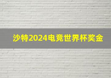 沙特2024电竞世界杯奖金