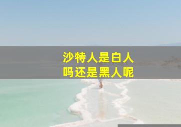 沙特人是白人吗还是黑人呢