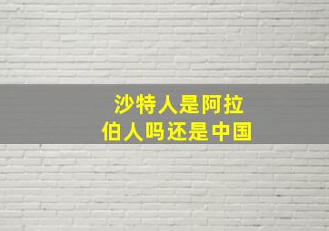 沙特人是阿拉伯人吗还是中国