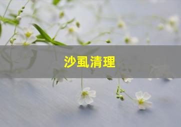 沙虱清理