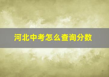 河北中考怎么查询分数