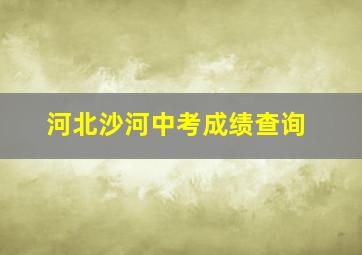 河北沙河中考成绩查询