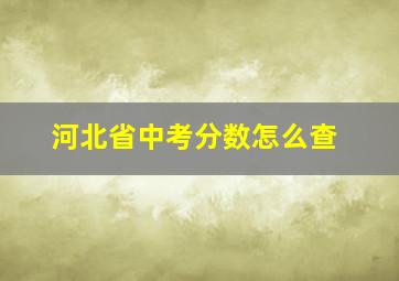 河北省中考分数怎么查