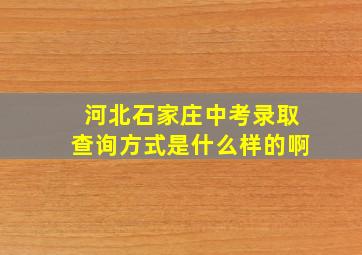 河北石家庄中考录取查询方式是什么样的啊