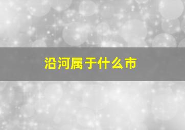 沿河属于什么市