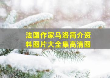 法国作家马洛简介资料图片大全集高清图