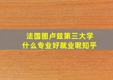 法国图卢兹第三大学什么专业好就业呢知乎