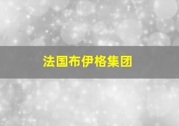 法国布伊格集团