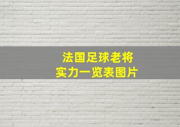 法国足球老将实力一览表图片