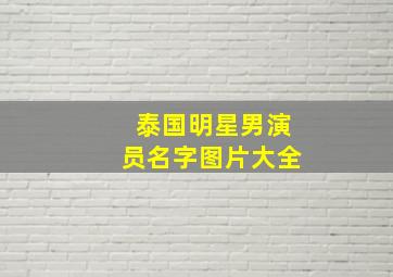 泰国明星男演员名字图片大全