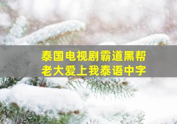 泰国电视剧霸道黑帮老大爱上我泰语中字