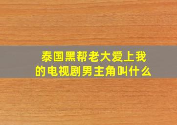 泰国黑帮老大爱上我的电视剧男主角叫什么