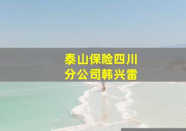 泰山保险四川分公司韩兴雷