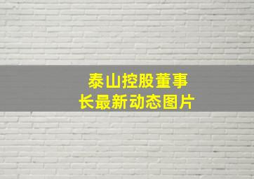 泰山控股董事长最新动态图片