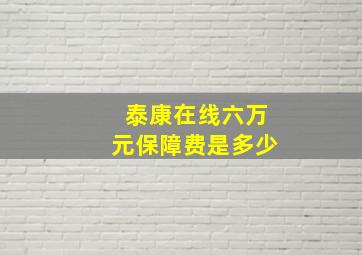 泰康在线六万元保障费是多少