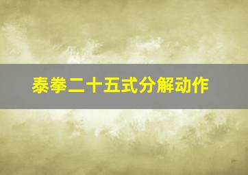 泰拳二十五式分解动作