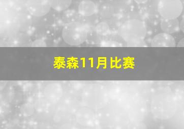 泰森11月比赛