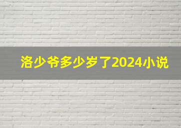 洛少爷多少岁了2024小说