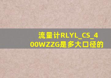 流量计RLYL_CS_400WZZG是多大口径的