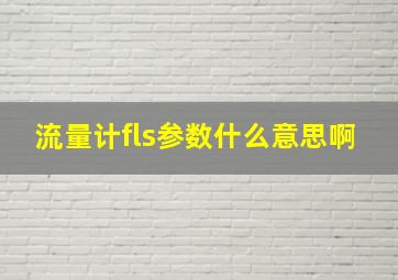 流量计fls参数什么意思啊