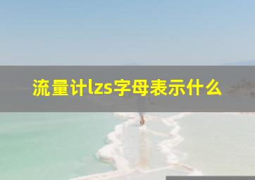 流量计lzs字母表示什么