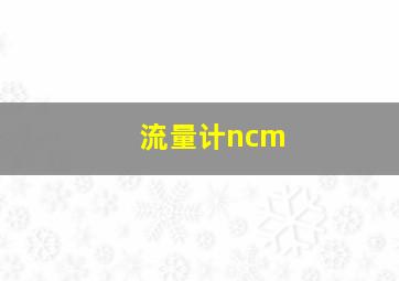 流量计ncm