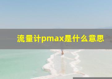 流量计pmax是什么意思