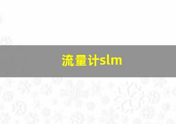 流量计slm