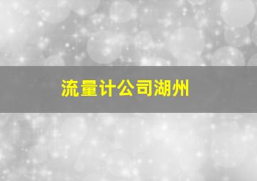 流量计公司湖州