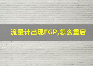 流量计出现FGP,怎么重启