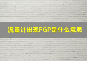 流量计出现FGP是什么意思