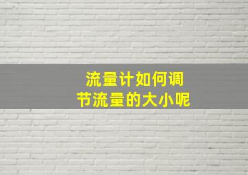 流量计如何调节流量的大小呢