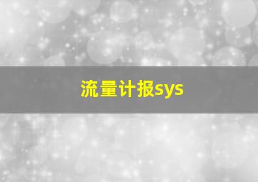 流量计报sys