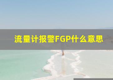 流量计报警FGP什么意思