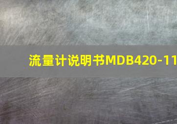 流量计说明书MDB420-11